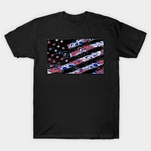 Salute to those who died before us T-Shirt